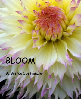 BLOOM By Brenda Sue Pignata book cover