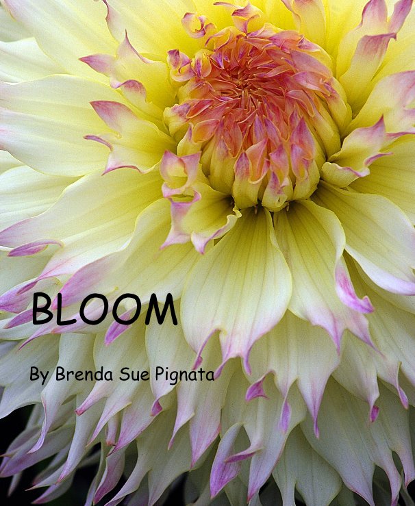 Bekijk BLOOM By Brenda Sue Pignata op Brenda Sue Pignata