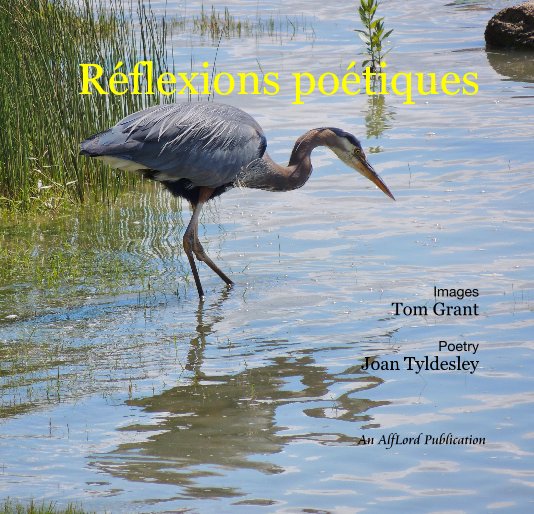 Visualizza Réflexions poétiques di Images Tom Grant Poetry Joan Tyldesley