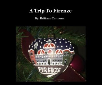 A Trip To Firenze book cover