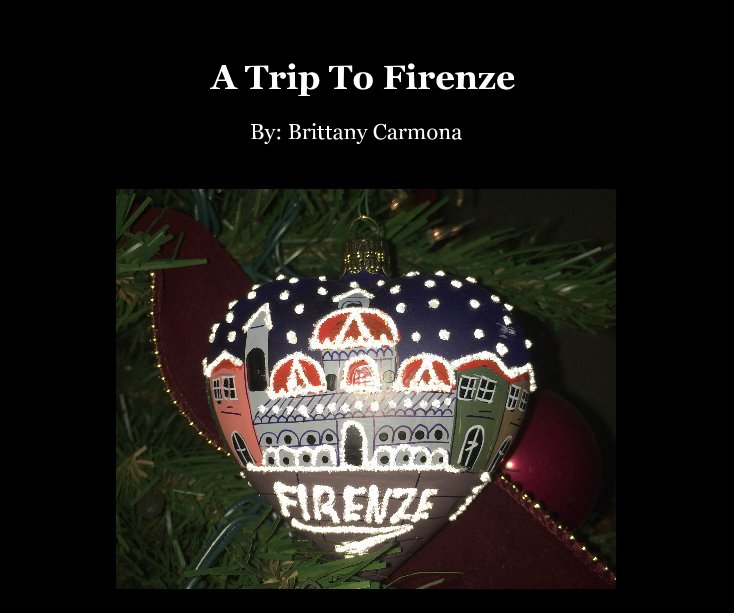 View A Trip To Firenze by MaristBooks