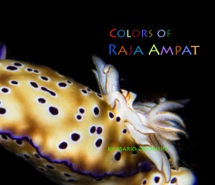 Colors of Raja Ampat book cover