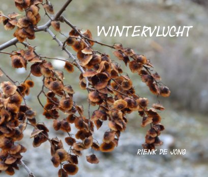Wintervlucht book cover