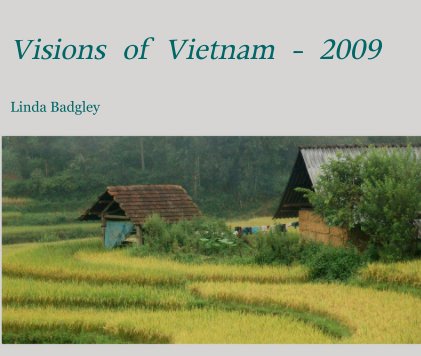 Visions of Vietnam - 2009 book cover