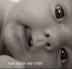 the year we met book cover