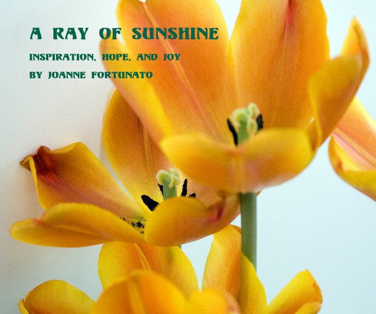 View A Ray of Sunshine by Joanne Fortunato