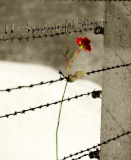 Il Suono del Silenzio book cover