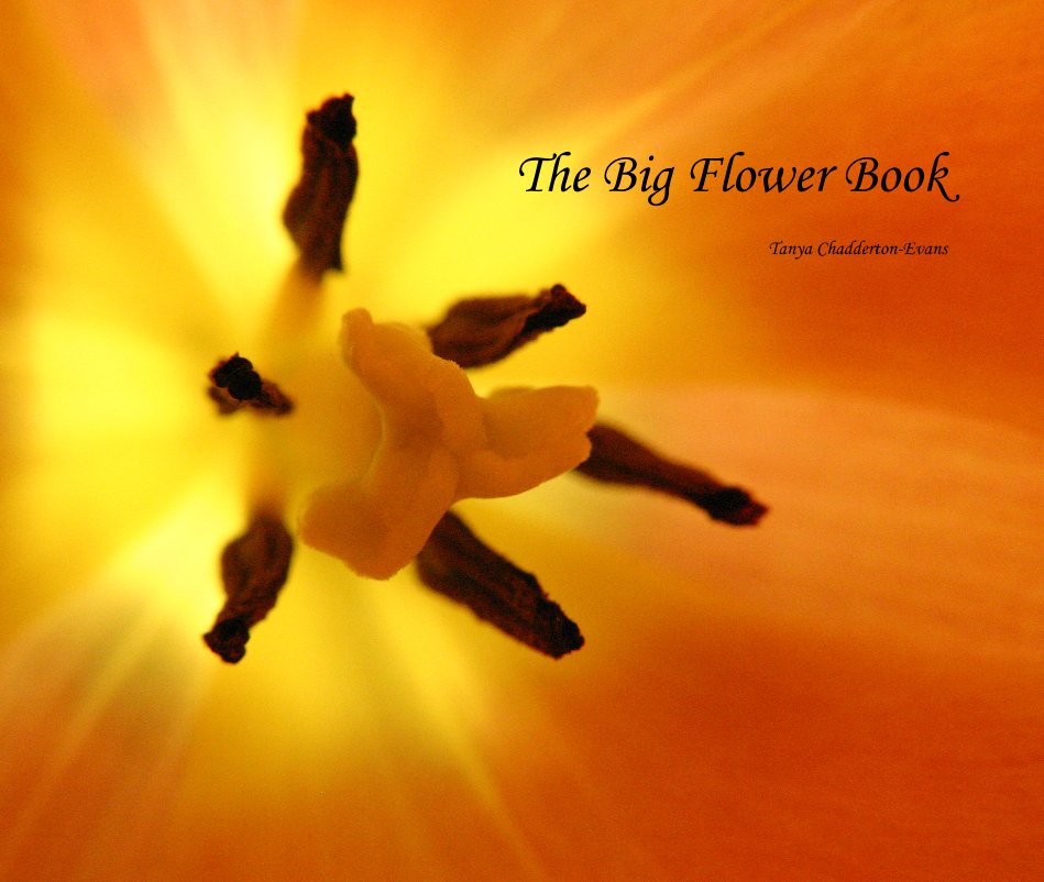 View The Big Flower Book by Tanya Chadderton-Evans