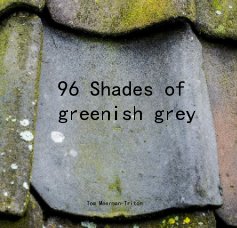 96 Shades of greenish grey book cover