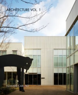 ARCHITECTURE VOL. 1 book cover