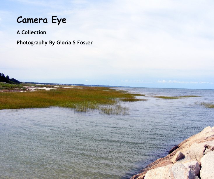 View Camera Eye by Photography By Gloria S Foster