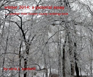 winter 2014: a pictorial essay book cover