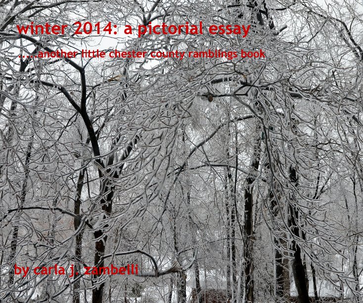 View winter 2014: a pictorial essay by carla j. zambelli