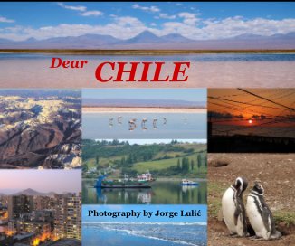 Dear CHILE book cover