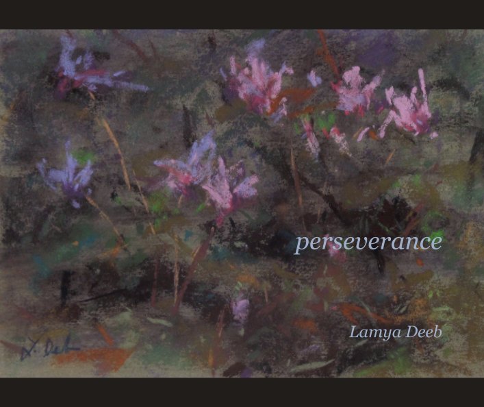 View perseverance by Lamya Deeb