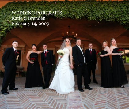 WEDDING PORTRAITS Katie & Brenden February 14, 2009 book cover