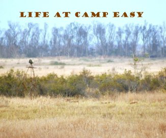 Life At Camp Easy book cover
