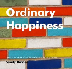 Ordinary Happiness book cover