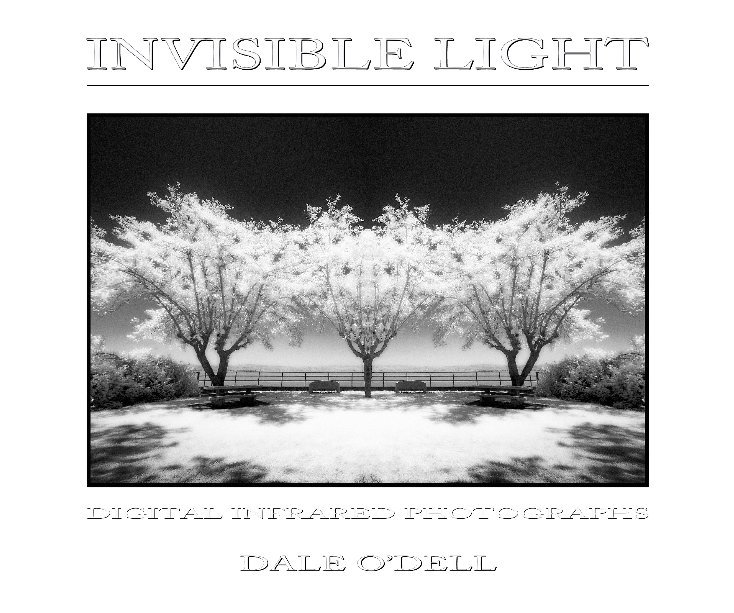 Visualizza Invisible Light di DALE O'DELL