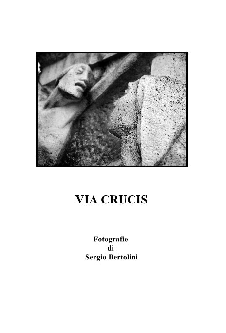 View VIA CRUCIS (formato grande) by Sergio Bertolini