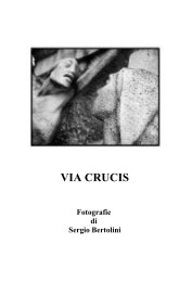 VIA CRUCIS (formato piccolo) book cover