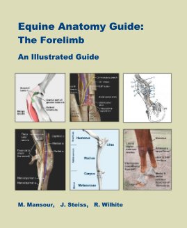 Equine Anatomy Guide: The Forelimb book cover