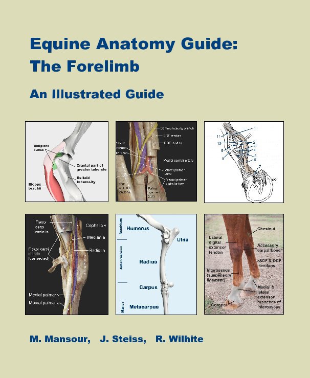 Bekijk Equine Anatomy Guide: The Forelimb op M. Mansour, J. Steiss, R. Wilhite