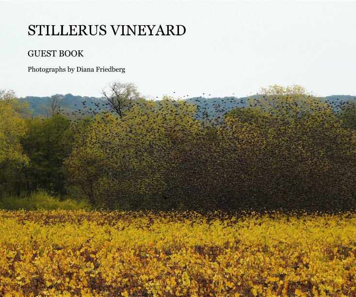 View STILLERUS VINEYARD by Photographs by Diana Friedberg