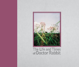 The Life and Times of Doctor Rabbit book cover