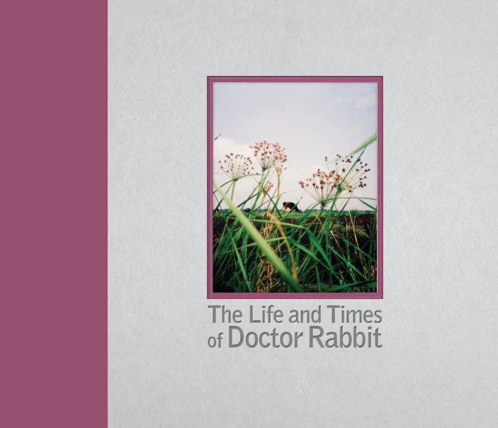View The Life and Times of Doctor Rabbit by Horacio Sormani