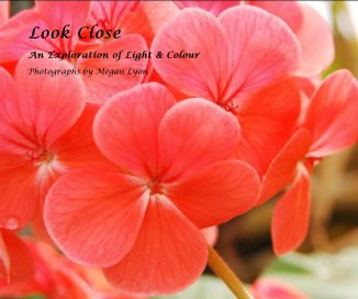 Look Close book cover