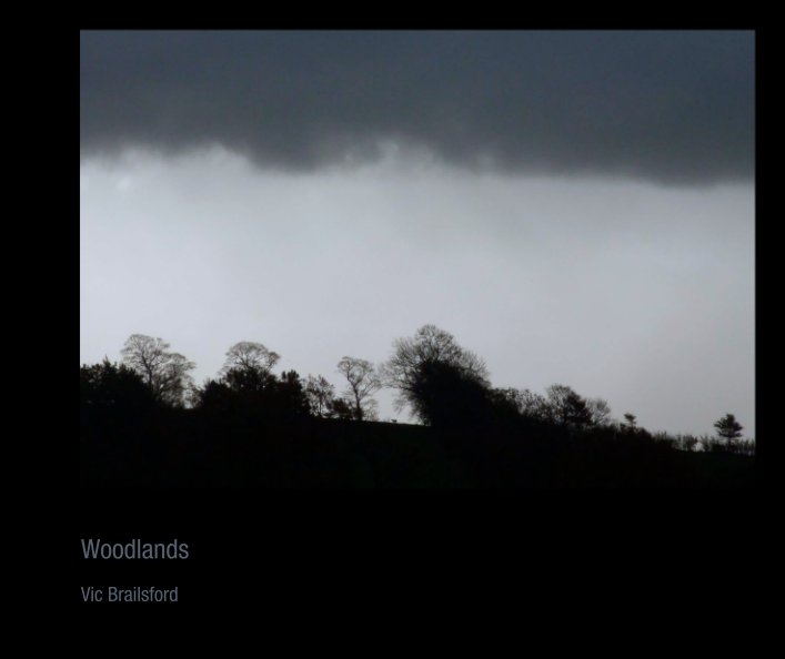 View Woodlands by Vic Brailsford