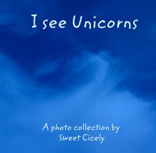 I see Unicorns book cover