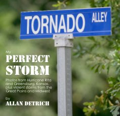 My Perfect Storm book cover