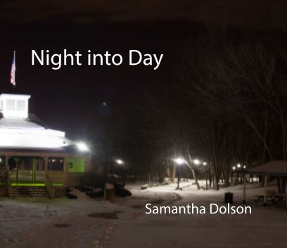 Night into Day book cover