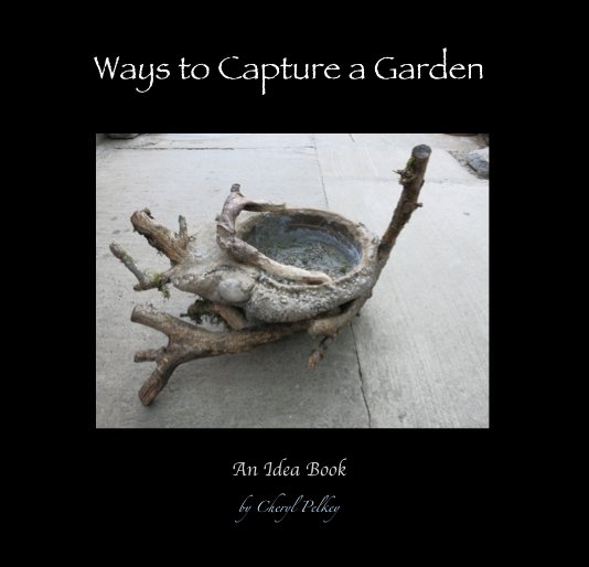 View Ways to Capture a Garden by Cheryl Pelkey
