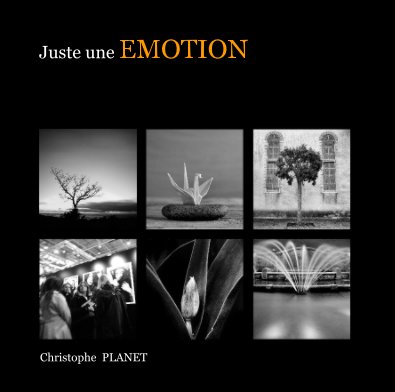 Juste une EMOTION book cover