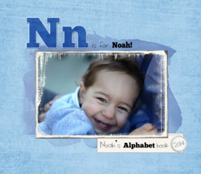 Noah's Alphabet Book book cover