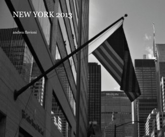 NEW YORK 2013 book cover