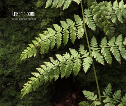 One stop down. book cover