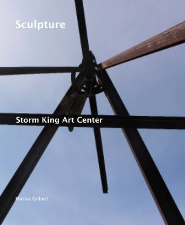 Sculpture book cover