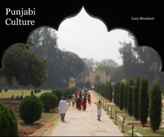 Punjabi Culture book cover