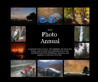 2013 Photo Annual book cover