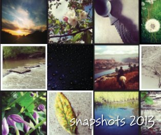 snapshots 2013 book cover