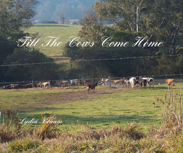 View Till The Cows Come Home by Lydia Braam