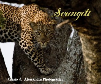 Serengeti book cover