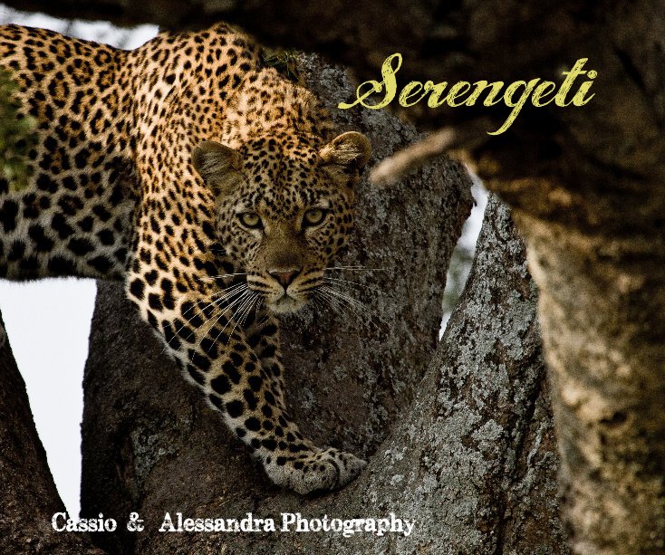 Ver Serengeti por Cassio & Alessandra Photography