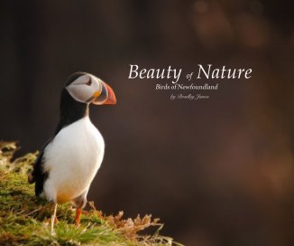 Beauty of Nature Birds of Newfoundland by Bradley James book cover