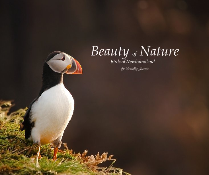 Ver Beauty of Nature Birds of Newfoundland by Bradley James por Bradley James