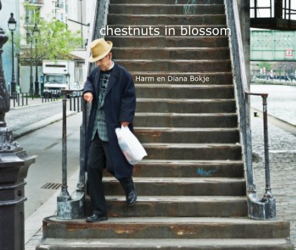 chestnuts in blossom book cover